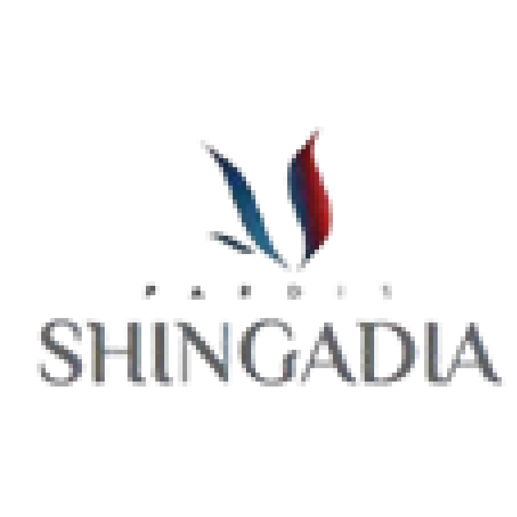Project Icon