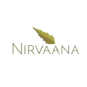 Developer Logo 1
