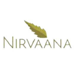 Developer Logo 1
