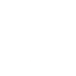 Project Icon