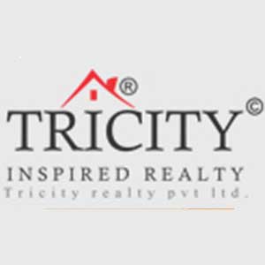 Developer Logo 1
