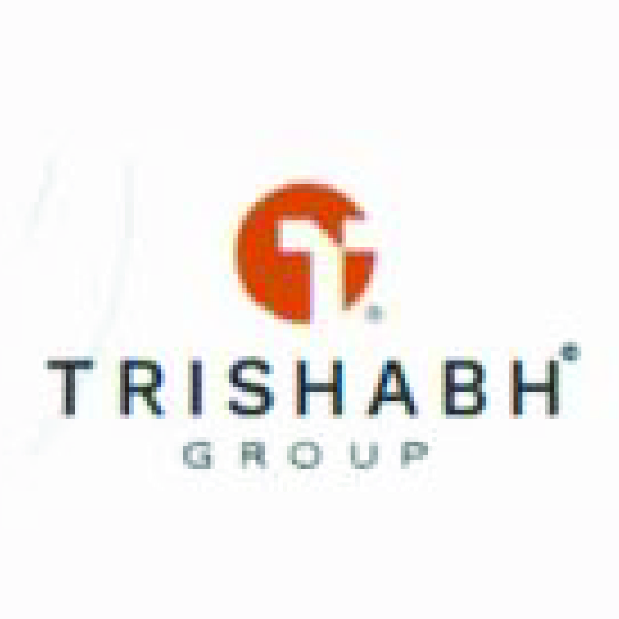 Developer Logo 1