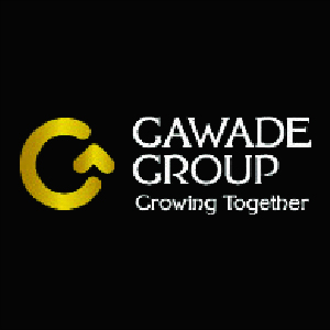 Developer Logo 1