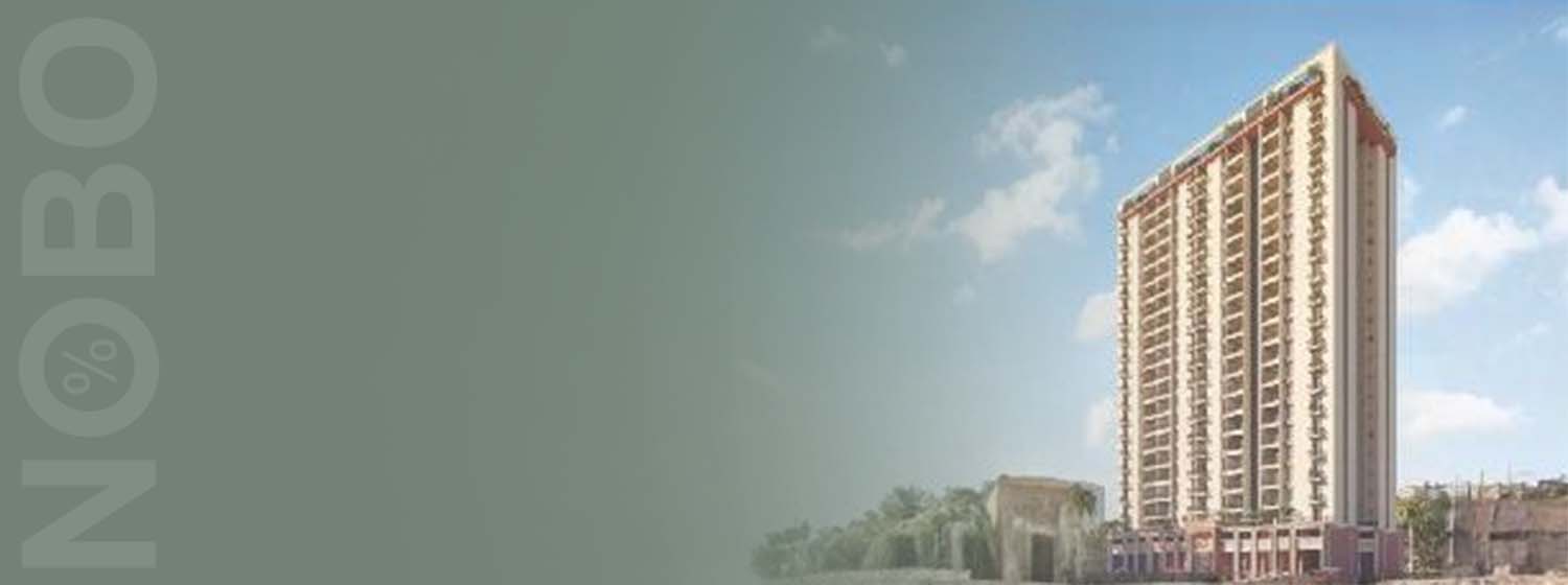 Sonai Clara banner