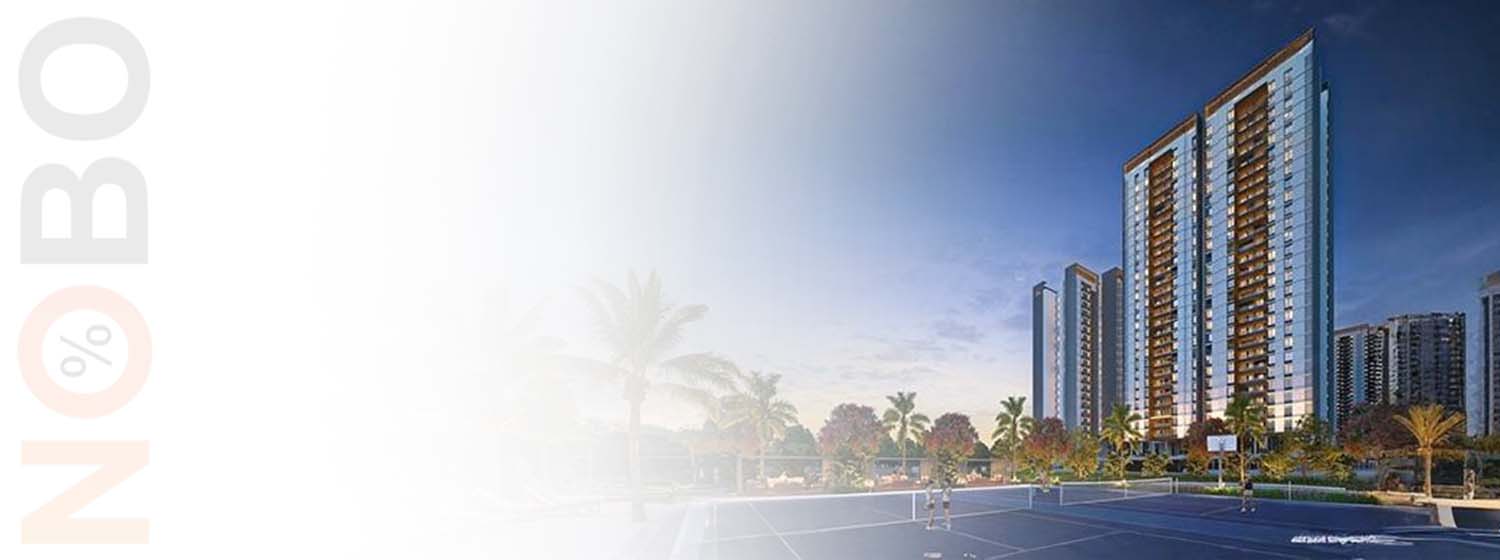 Gini Vivante banner