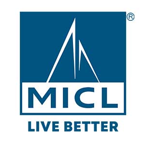 Developer Logo 1