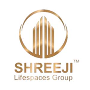 Developer Logo 1