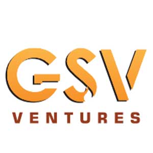 Developer Logo 2