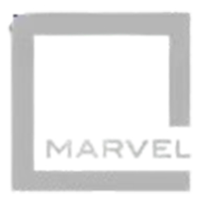 Developer Logo 1