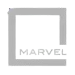 Developer Logo 1