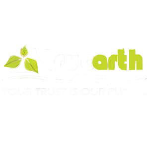 Developer Logo 1