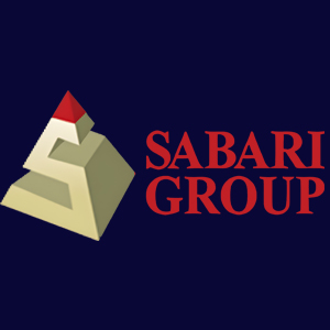 Developer Logo 1