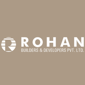 Developer Logo 1
