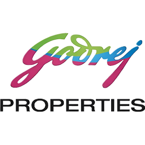 Developer Logo 1