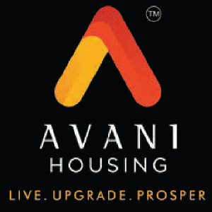 Developer Logo 1