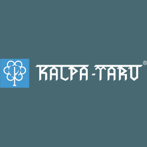 Developer Logo 1