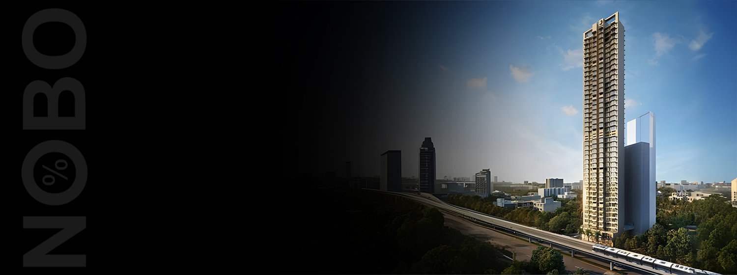 Palacio banner