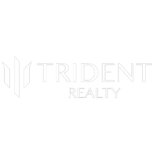 Developer Logo 1