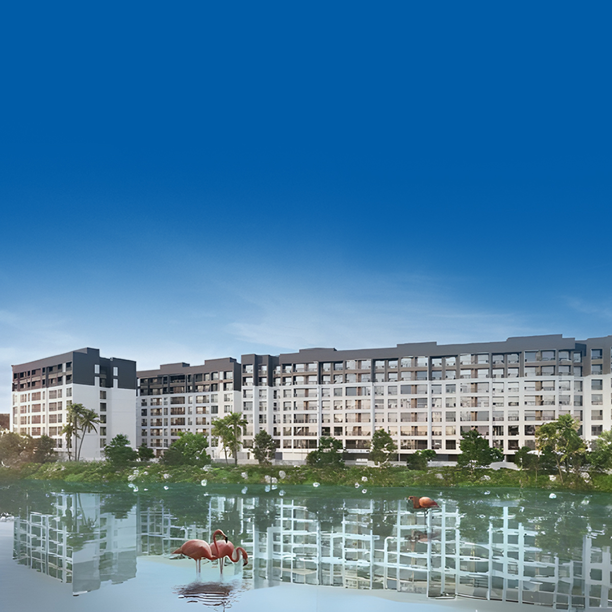 Flamingo Residency mobile banner