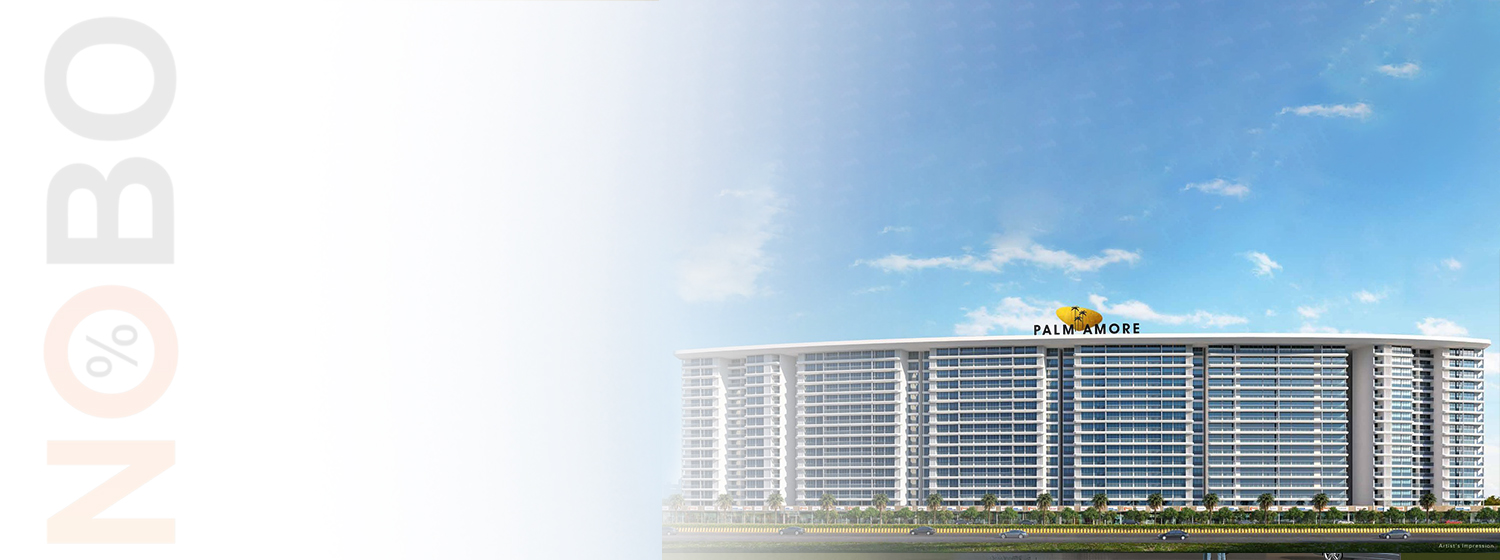 Palm Amore banner