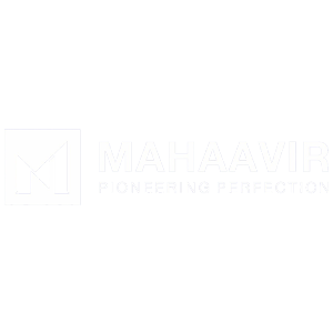 Developer Logo 1