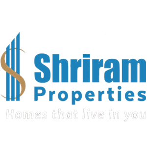 Developer Logo 1