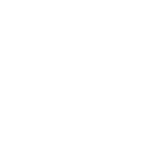 Developer Logo 1