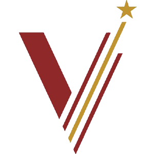 Developer Logo 1