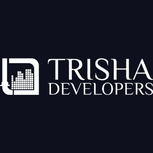 Developer Logo 1