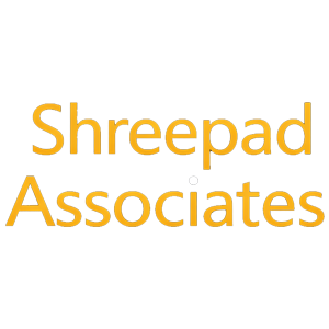 Developer Logo 1