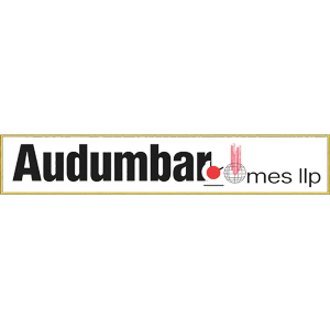 Developer Logo 1