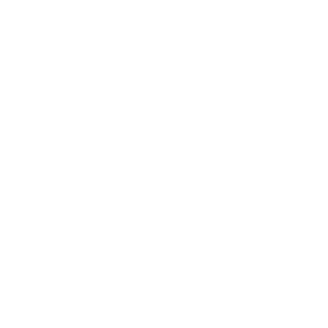 Developer Logo 1