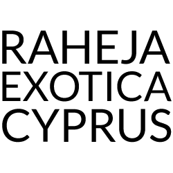 Project Icon
