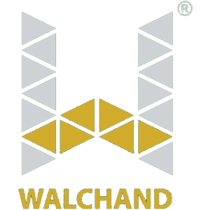 Developer Logo 1