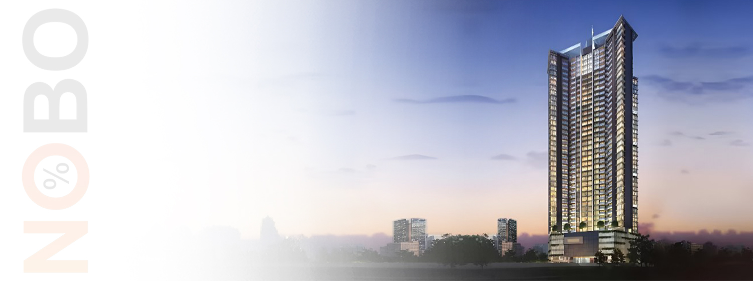 Transcon Triumph banner