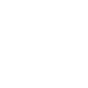 Developer Logo 1