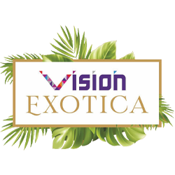 Project Icon