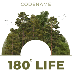 Project Icon
