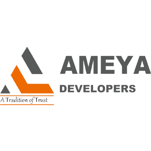 Developer Logo 1