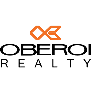 Developer Logo 1
