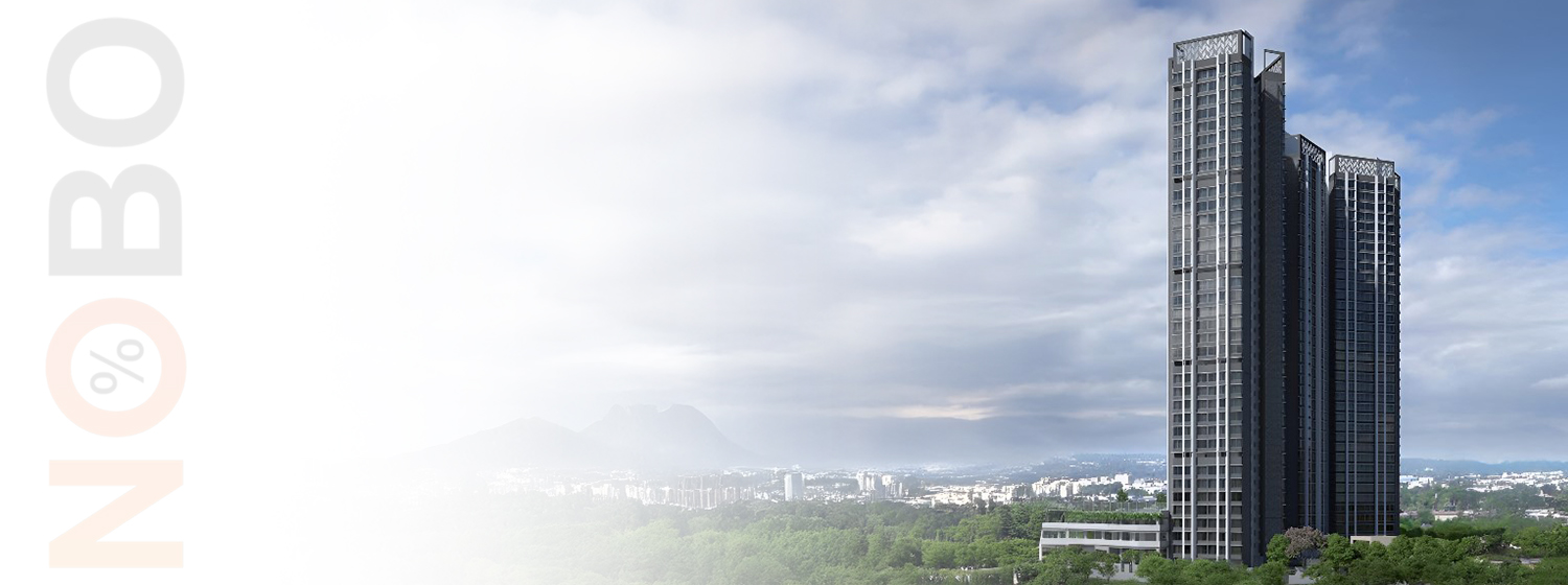 Avanya banner