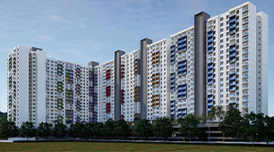 Project photo