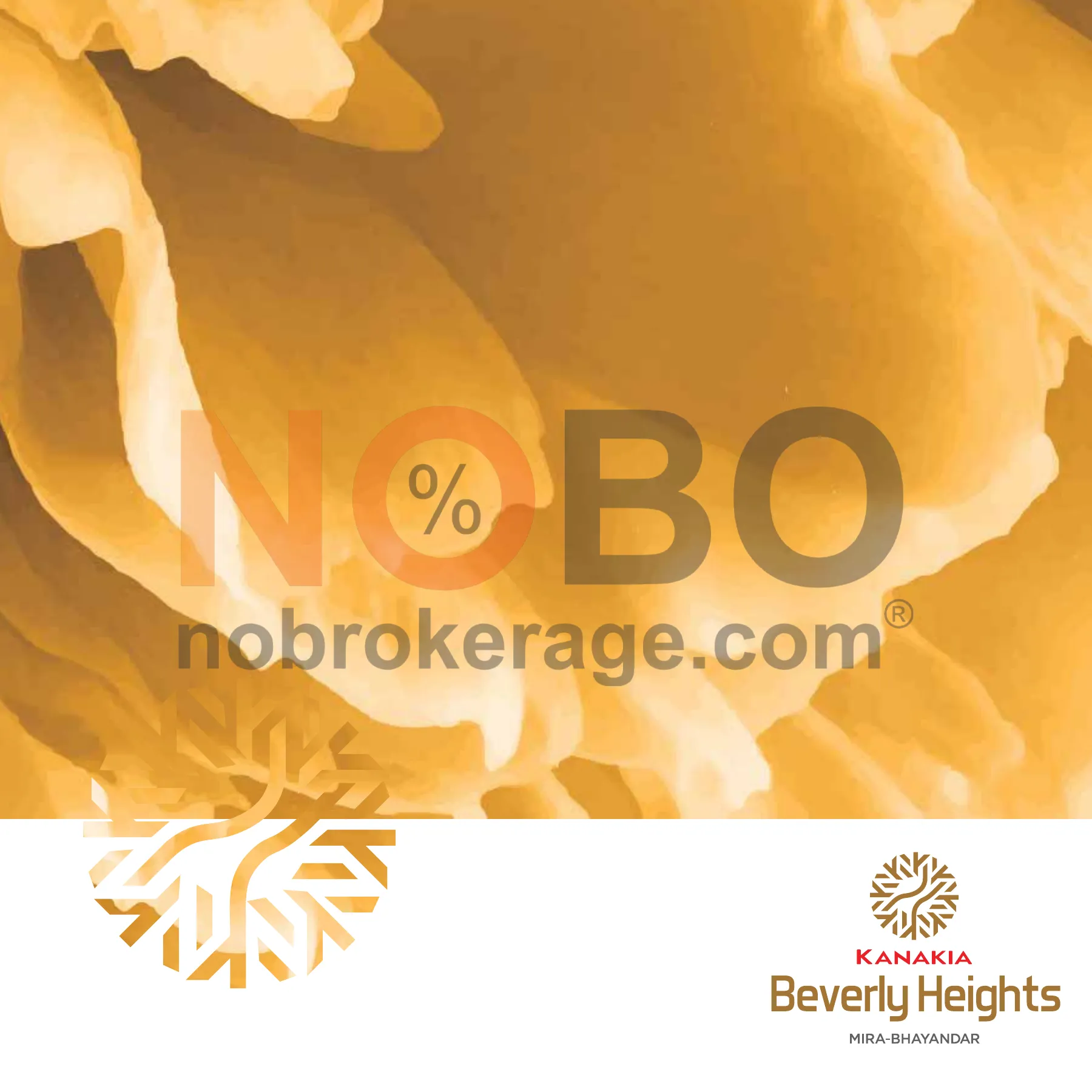 Brochure Page 1