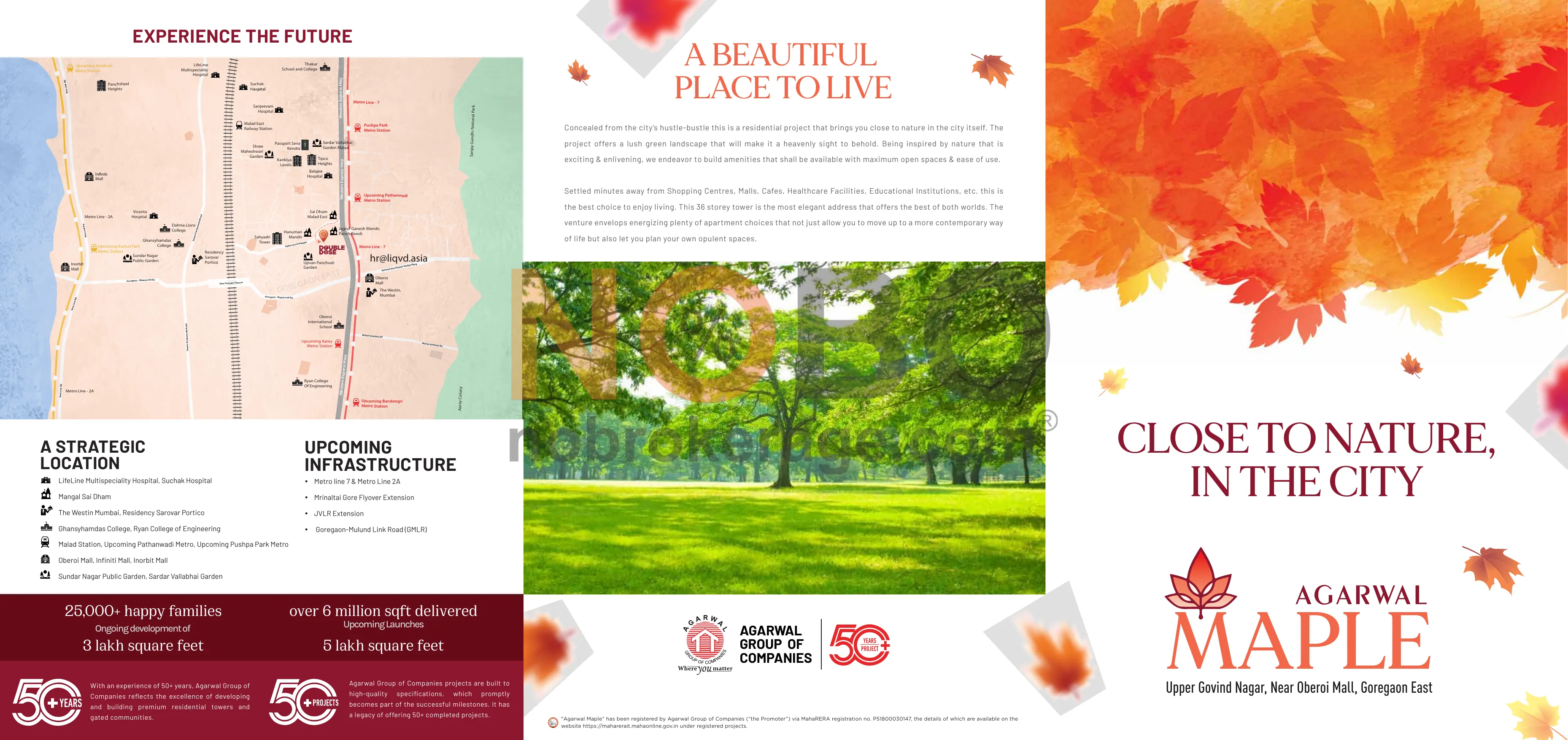 Brochure Page 1