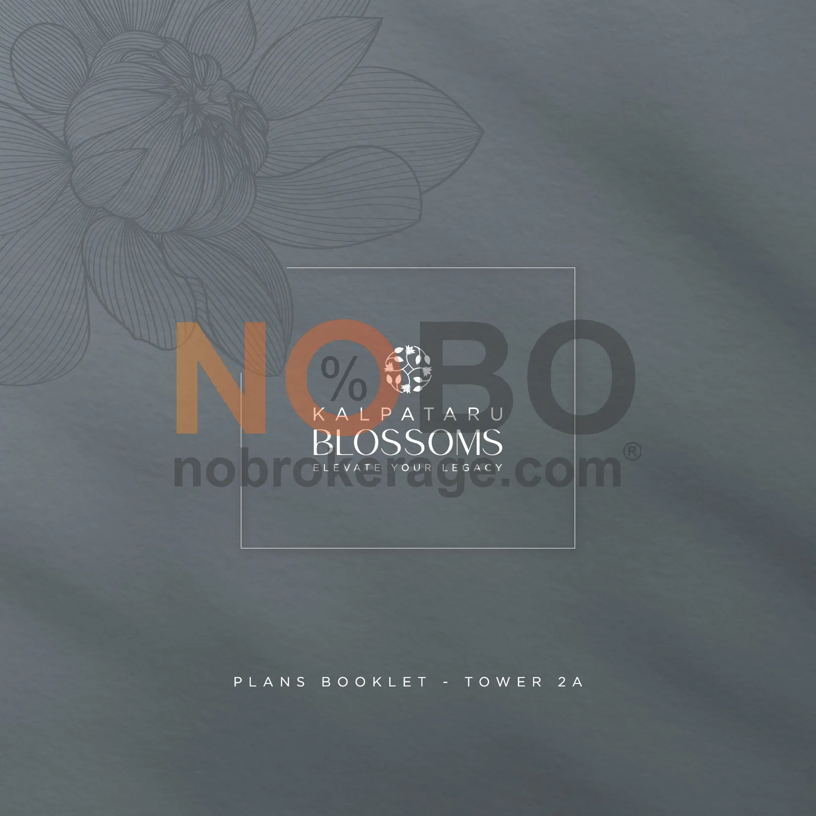 Brochure Page 1