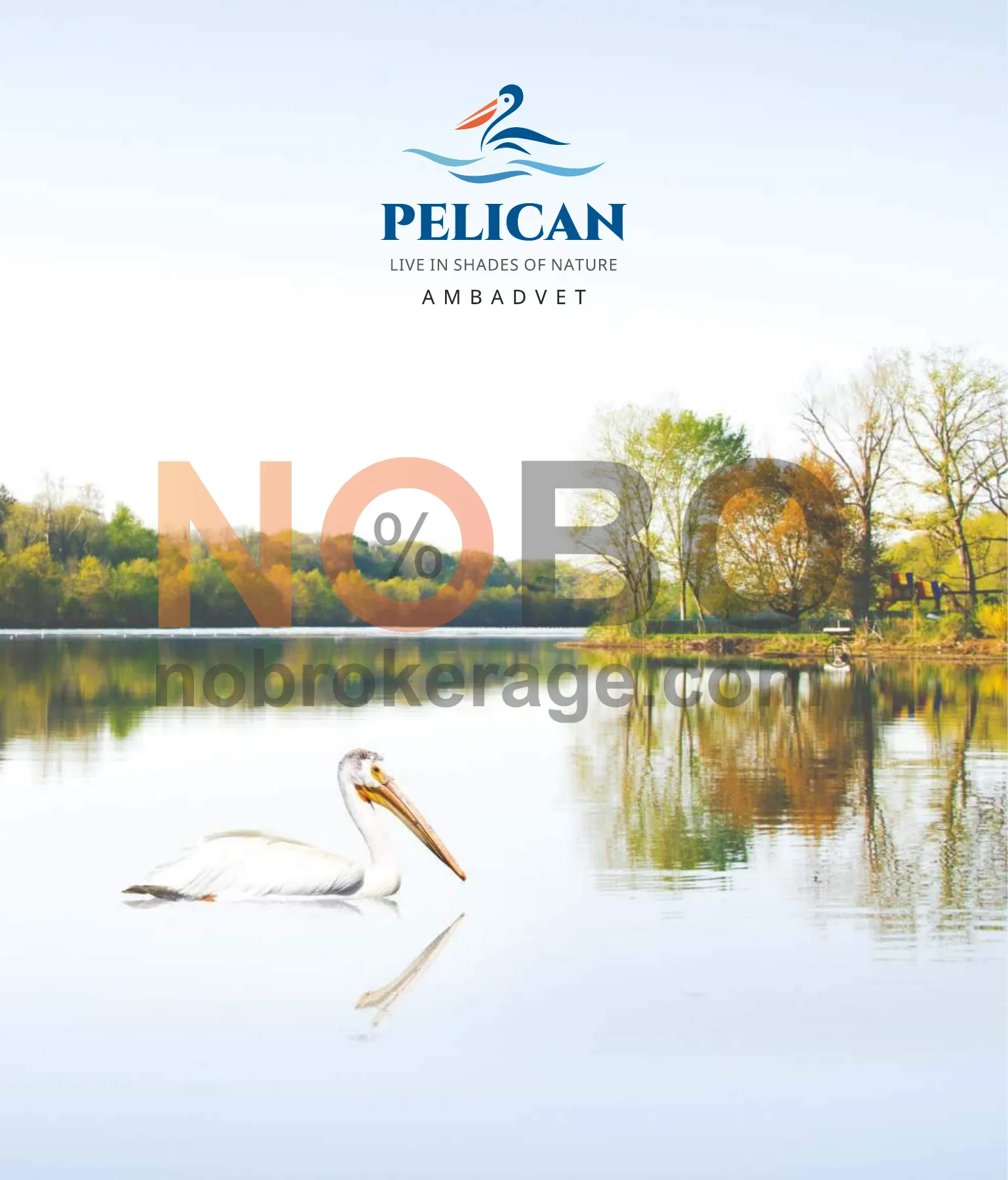 Brochure Page 1