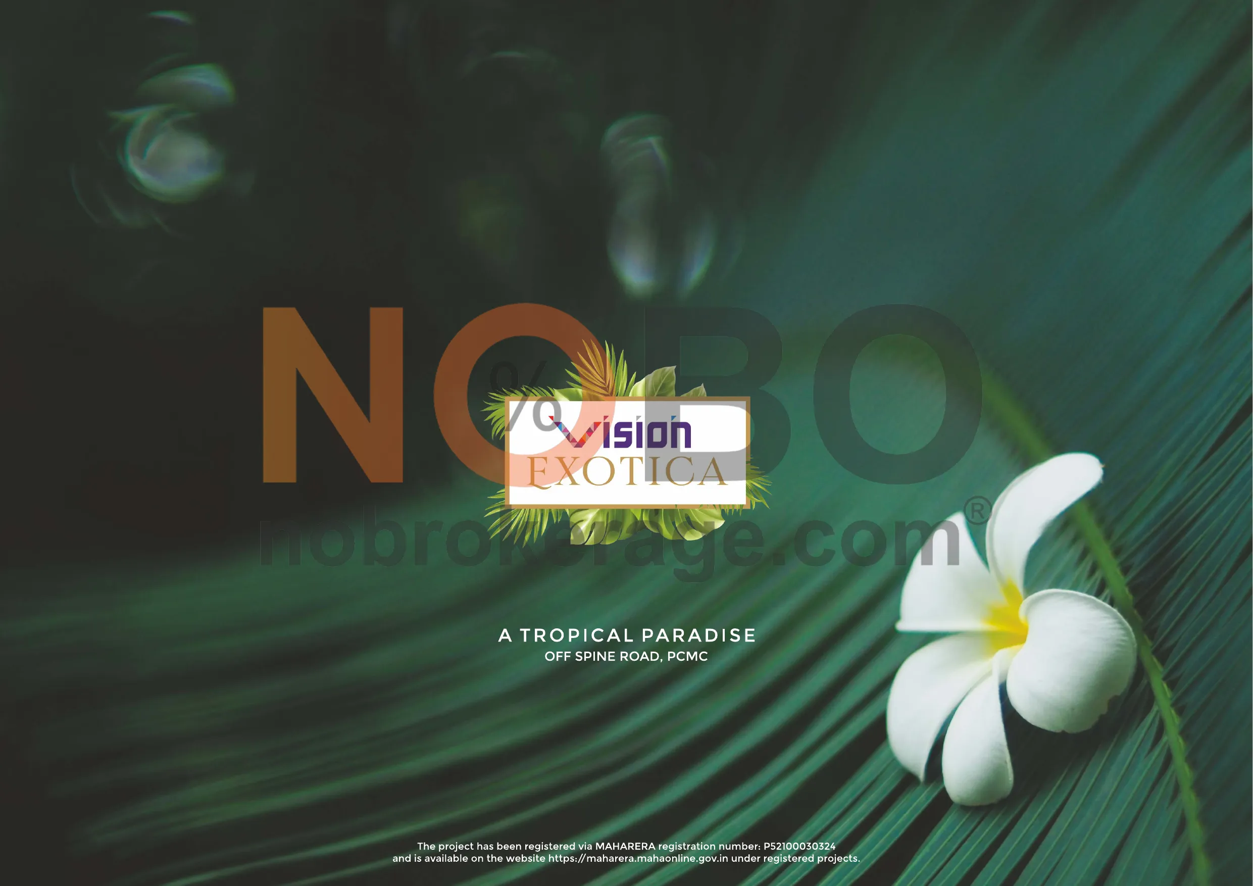 Brochure Page 1