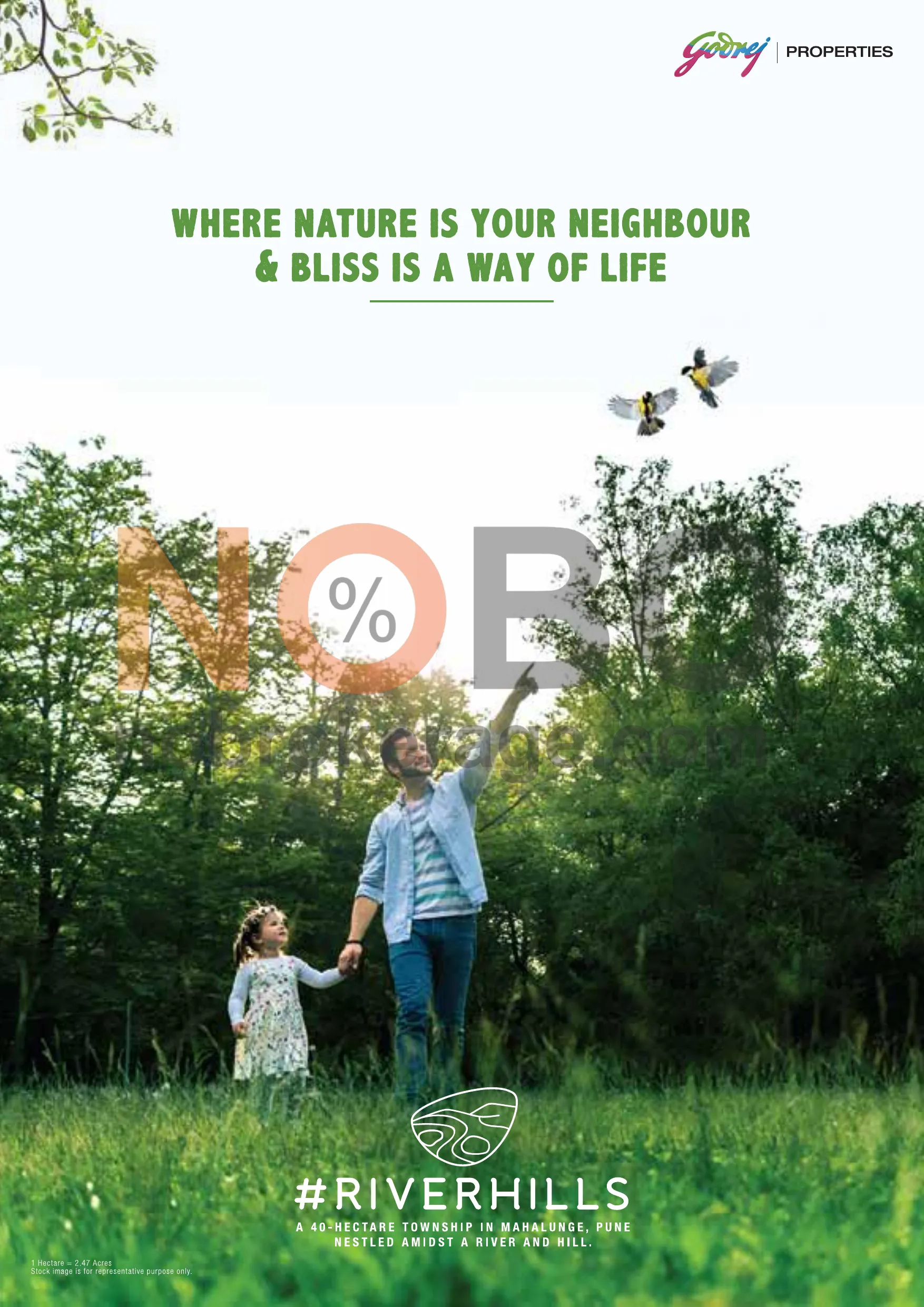 Brochure Page 1