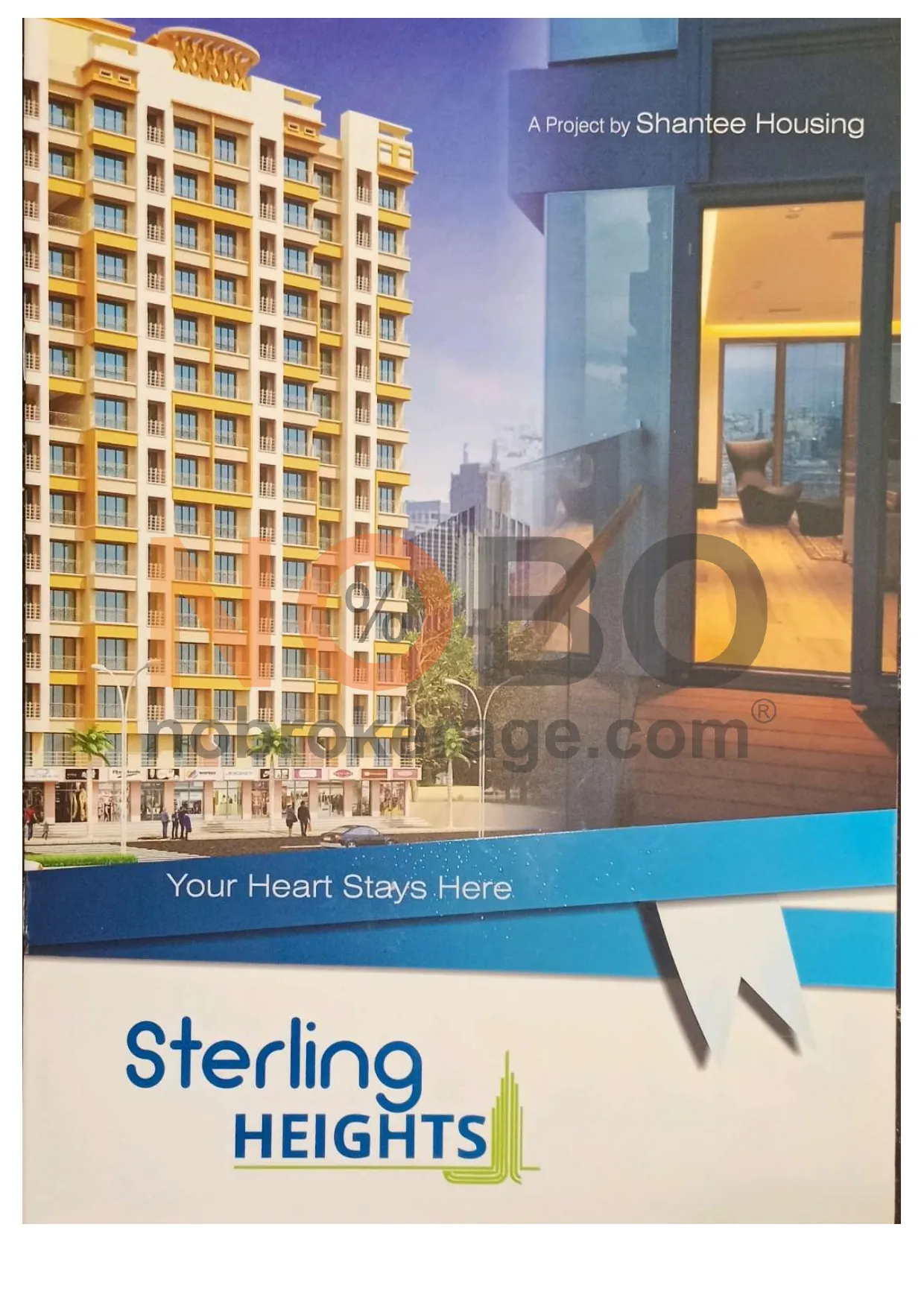 Brochure Page 1