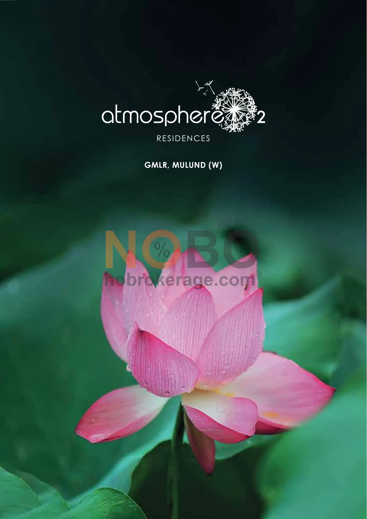 Brochure Page 1